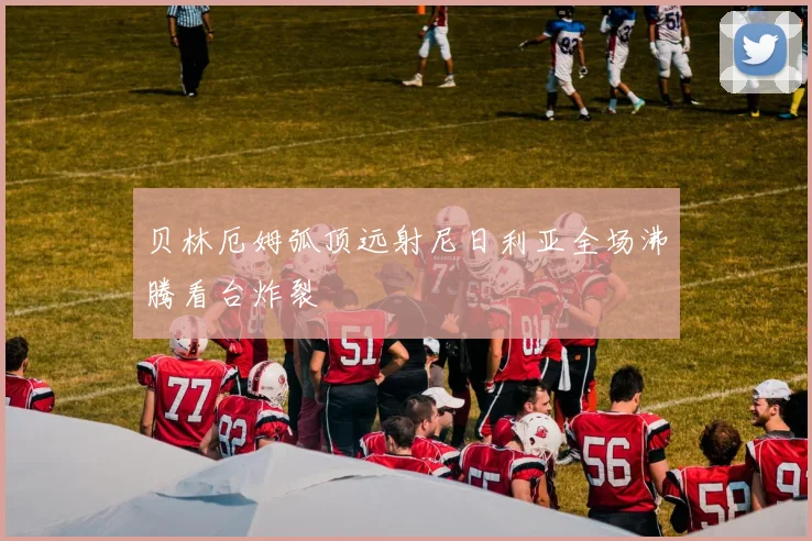 贝林厄姆弧顶远射尼日利亚全场沸腾看台炸裂