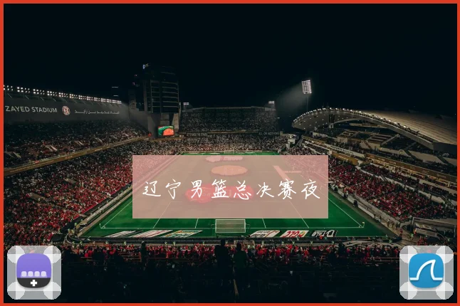 辽宁男篮总决赛夜