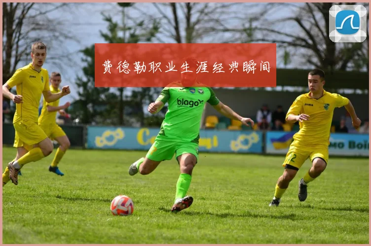 费德勒职业生涯经典瞬间