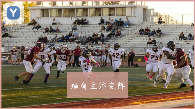 缅甸主帅变阵