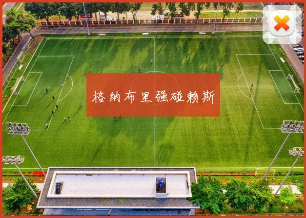 格纳布里强碰赖斯