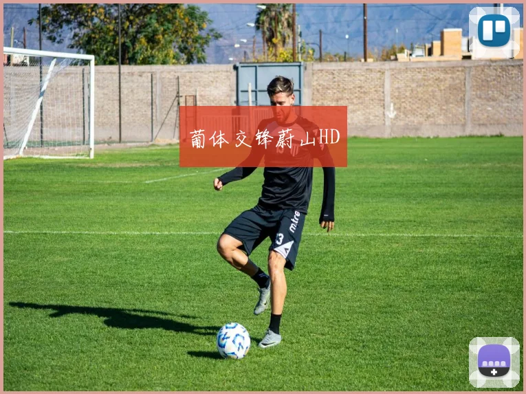 葡体交锋蔚山HD