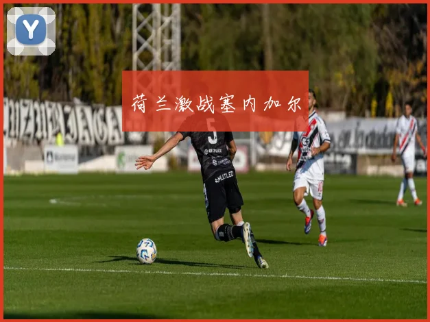 荷兰激战塞内加尔