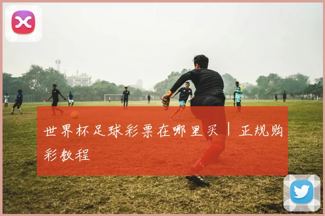世界杯足球彩票在哪里买｜正规购彩教程
