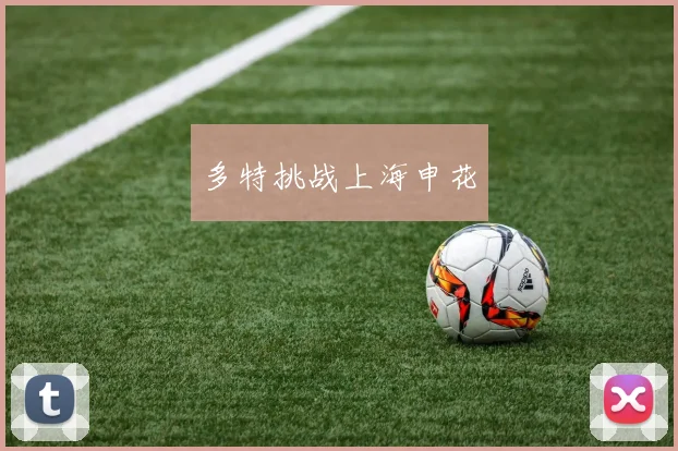 多特挑战上海申花