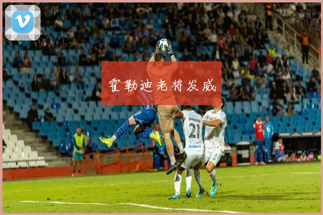 霍勒迪老将发威