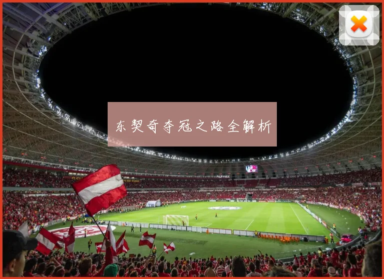 东契奇夺冠之路全解析