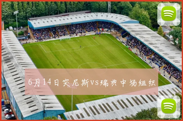 6月14日突尼斯vs瑞典中场组织
