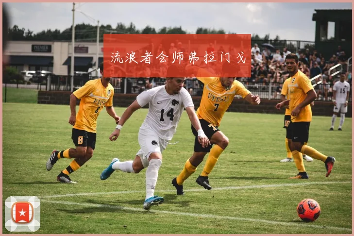 流浪者会师弗拉门戈