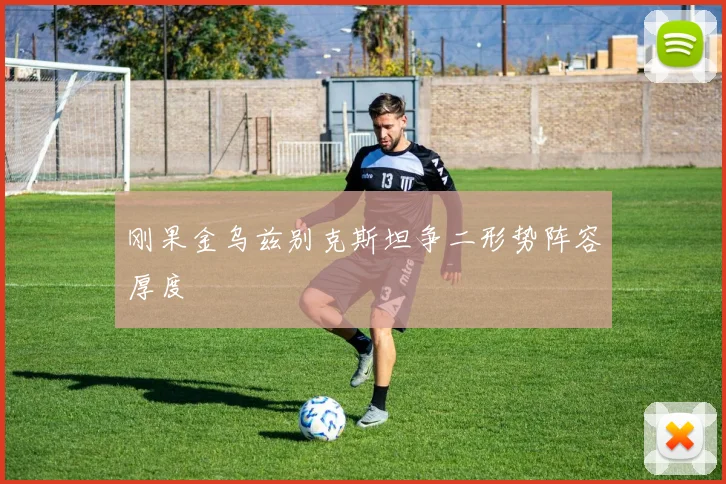 刚果金乌兹别克斯坦争二形势阵容厚度