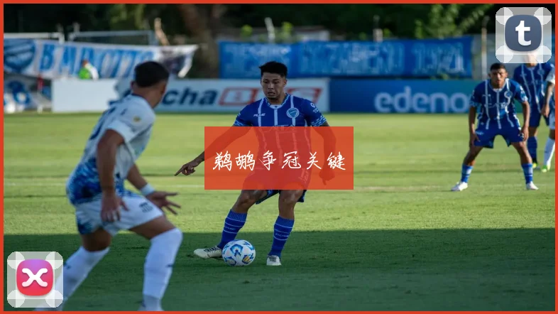 鹈鹕争冠关键