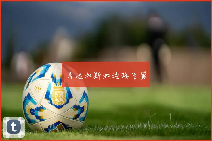 马达加斯加边路飞翼