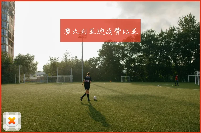 澳大利亚迎战赞比亚