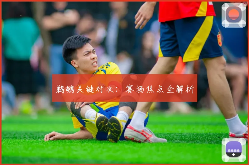 鹈鹕关键对决：赛场焦点全解析