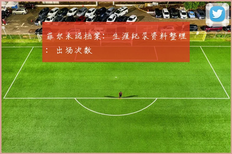 菲尔米诺档案：生涯纪录资料整理：出场次数