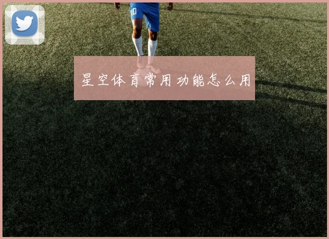 星空体育常用功能怎么用