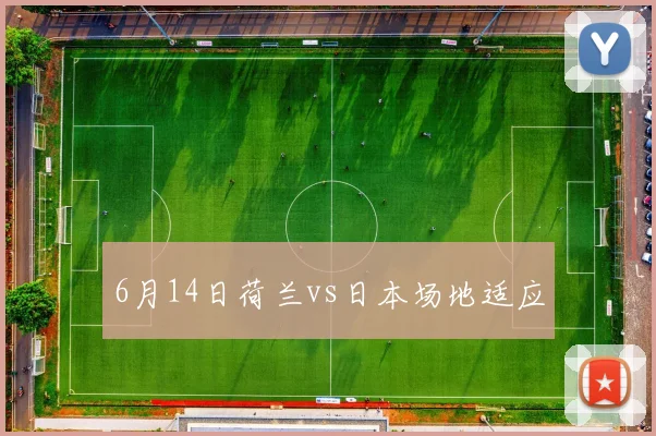 6月14日荷兰vs日本场地适应