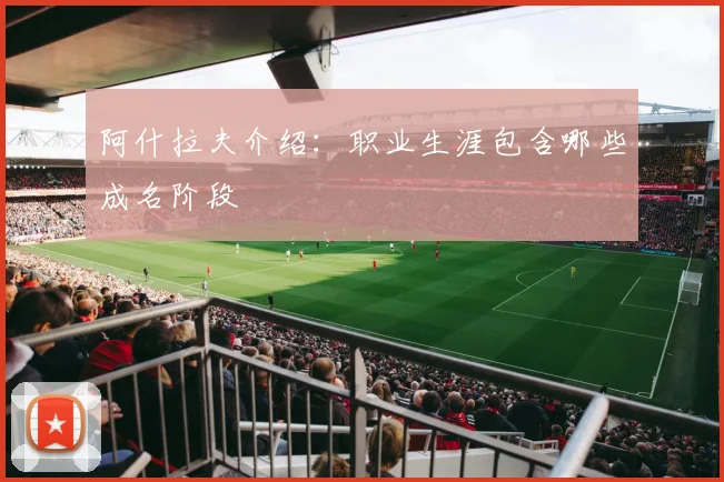阿什拉夫介绍:职业生涯包含哪些成名阶段